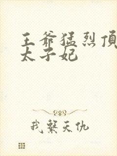 王爷猛烈顶弄H太子妃