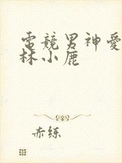 电竞男神爱上我林小鹿