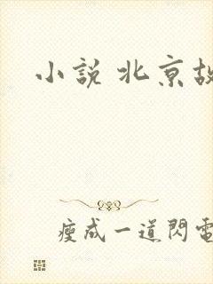 小说 北京故事