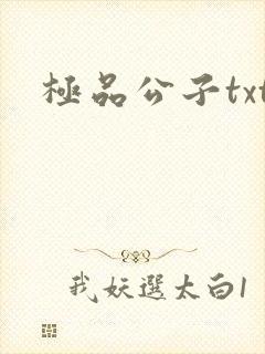 极品公子txt