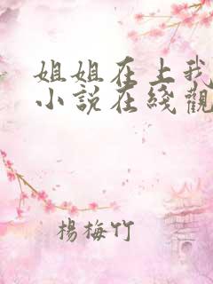 姐姐在上我在下小说在线观看