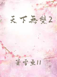 天下无双2