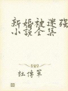 新婚被迷强系列小说全集