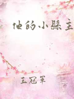 他的小县主