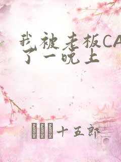 我被老板CAO了一晚上