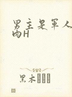 男主是军人的肉肉H