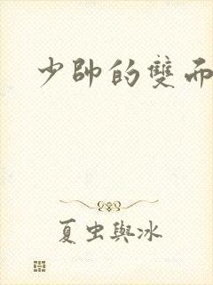 少帅的双面宠妻