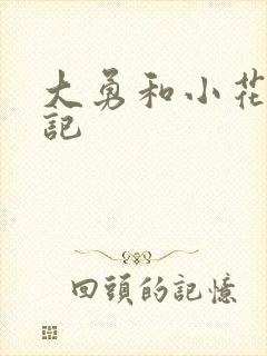 大勇和小花的日记
