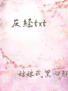 反经txt