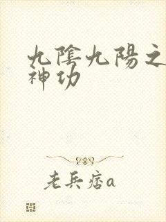 九阴九阳之阴阳神功