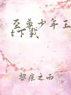 至尊少年王txt下载