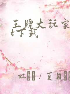 王牌大玩家txt下载