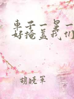 车子一晃一晃正好掩盖我们什么