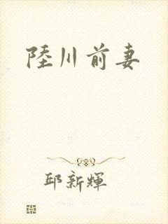 陆川前妻