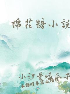 棉花糖小说下载