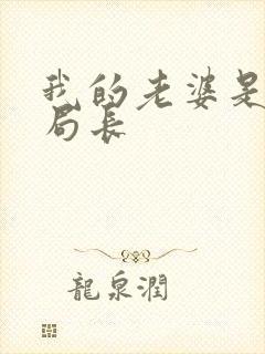 我的老婆是警察局长