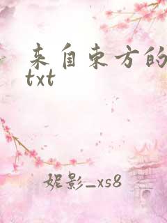 来自东方的骑士txt