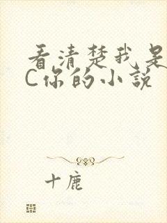 看清楚我是怎么C你的小说