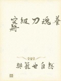 究级刀魂养成手册