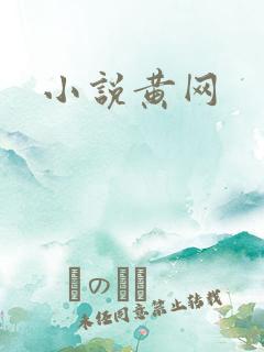 小说黄网