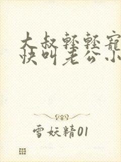 大叔轻轻宠宝贝快叫老公小说