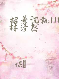 招惹沉执11H林清然