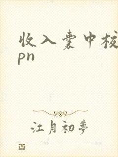 收入囊中校园hpn