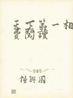 天下第一相书免费阅读