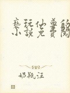 亵玩仙尊的道侣小说免费阅读