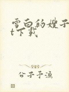 雪白的嫂子txt下载