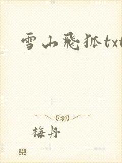 雪山飞狐txt