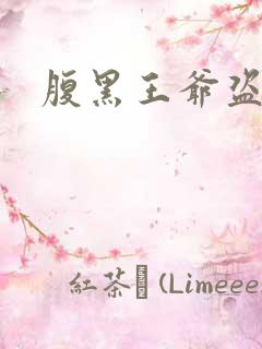 腹黑王爷盗墓妃