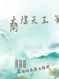 火爆天王 笔趣阁