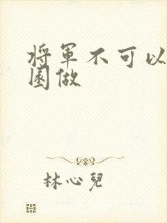 将军不可以在花园做