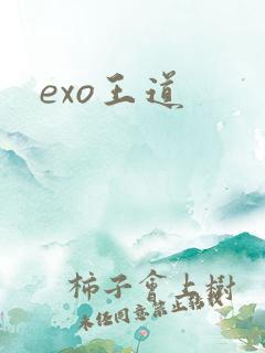 exo王道