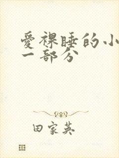 爱裸睡的小丹第一部分