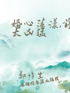 婚心荡漾,前夫太凶猛