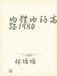 肉体内的高速公路1980