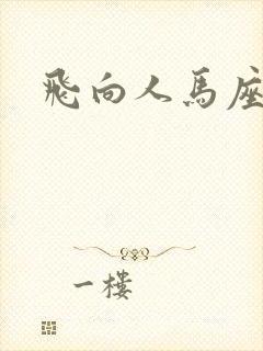 飞向人马座
