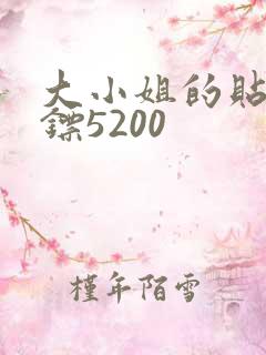 大小姐的贴身保镖5200