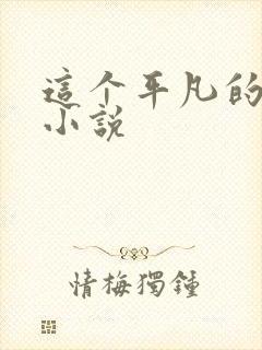 这个平凡的男子小说