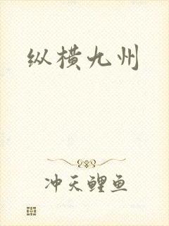 纵横九州
