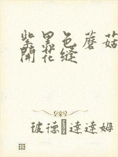 紫黑色蘑菇头顶开花缝