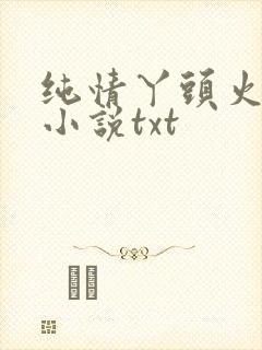 纯情丫头火辣辣小说txt
