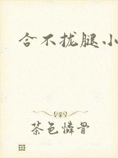 合不拢腿小说