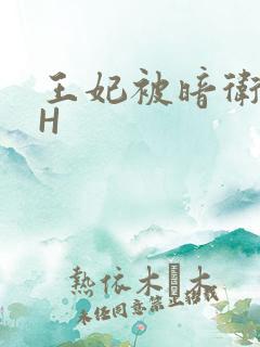 王妃被暗卫肉高H