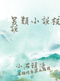 另类小说校园小说