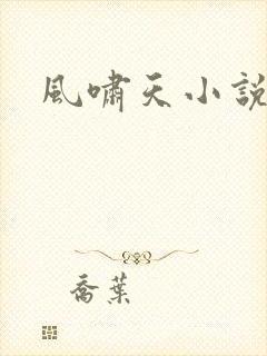 风啸天小说