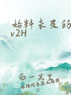 始料未及的软1v2H