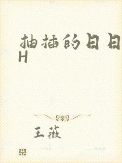 抽插的日日液液H